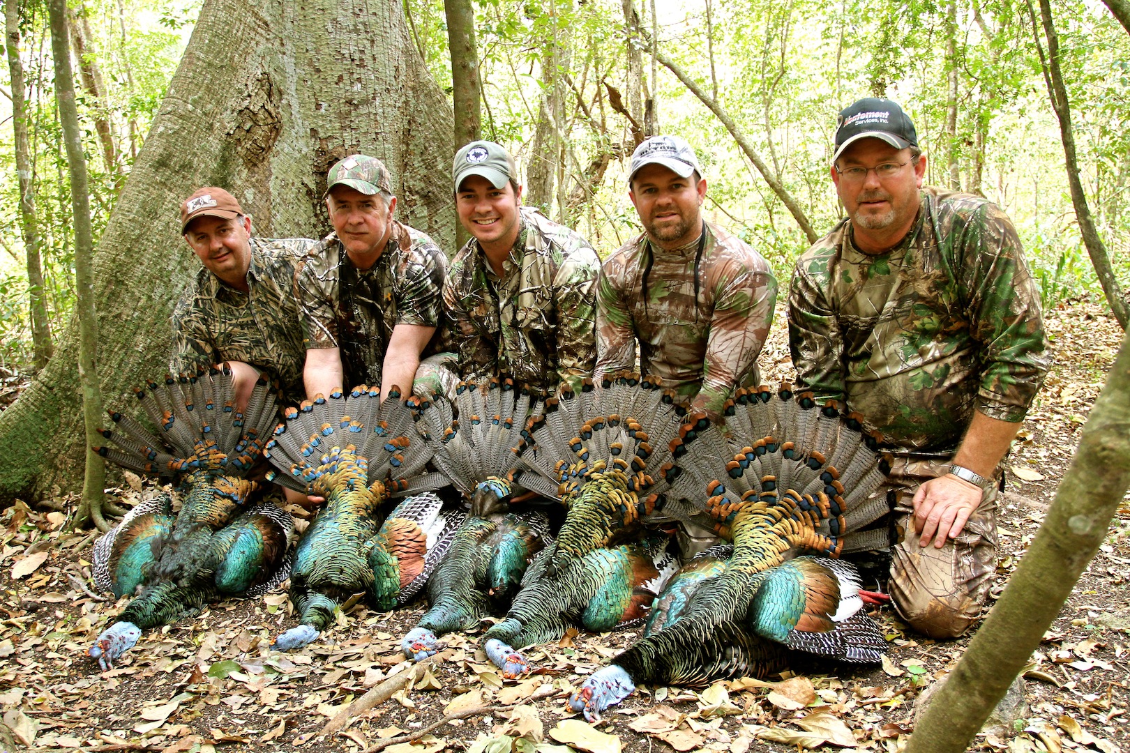 Ocellated Turkey Hunting _1517